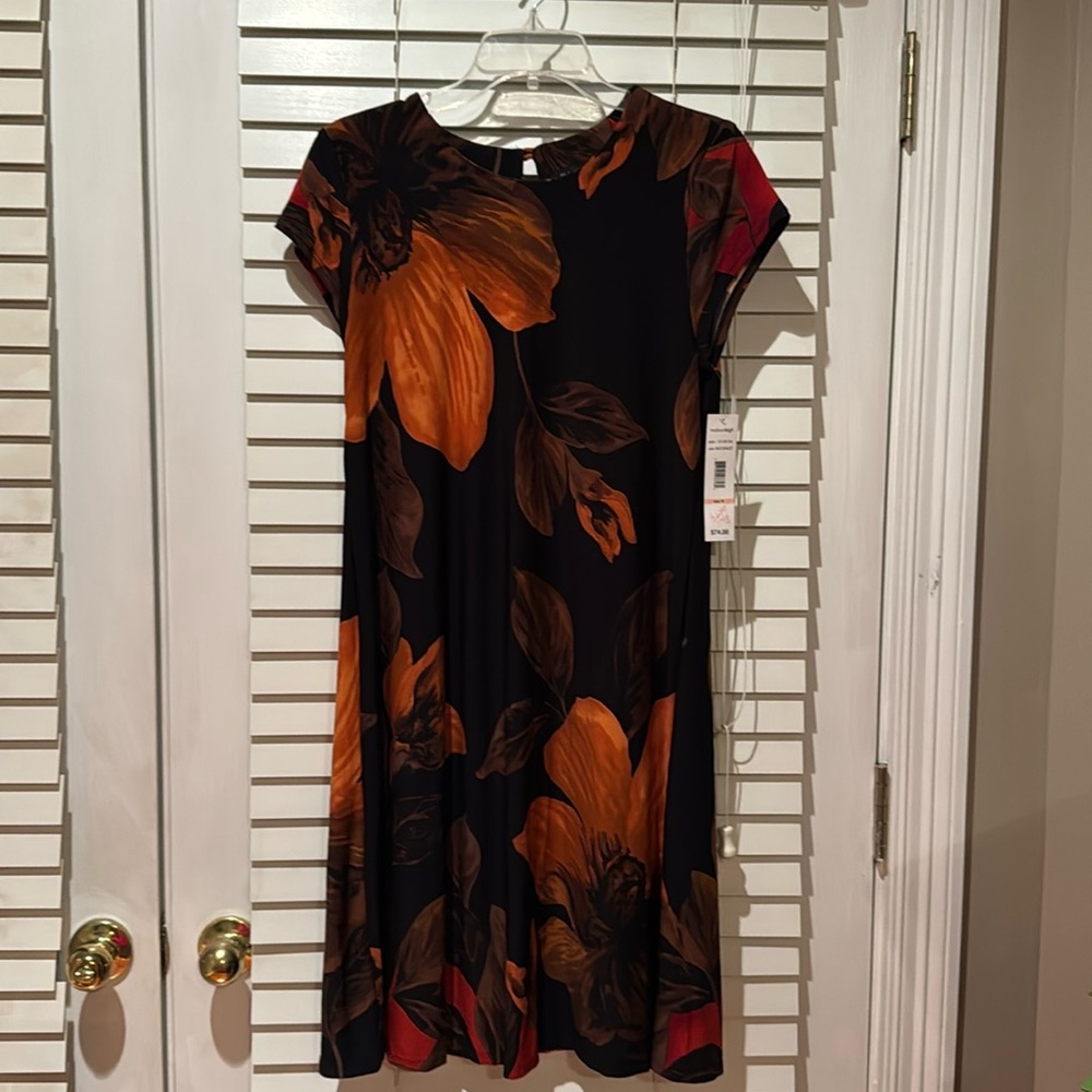 Madison Leigh dress size 10. It is multi colored.